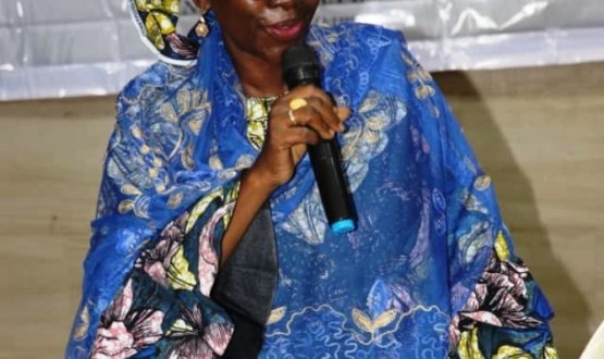 Mrs Sakinatu Abbo Jimeta, Acting Executive Director, NIWRMC delivering her keynote address during the Committee meeting on the Development of Conservation Plans and Management of Wetlands in Nigeria happening in Kano