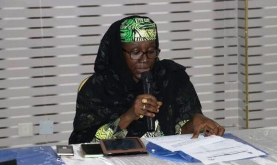 Mrs Sakinatu Abbo Jimeta, Acting Executive Director, NIWRMC delivering her speech at the workshop on 'The Review of the Proposed Bill for the Establishment of the Nigeria Integrated Water Resources Management Commission'.